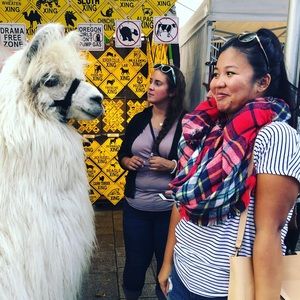 Meet your Posher, Katie